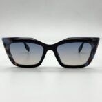 butterfly in Morocco – Image 2