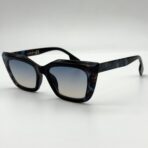 butterfly in Morocco