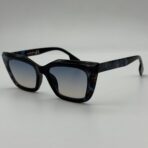 butterfly in Morocco