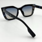 butterfly in Morocco – Image 6