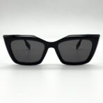 butterfly in USA – Image 2