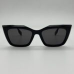 butterfly in USA – Image 2