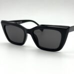 butterfly in USA – Image 4