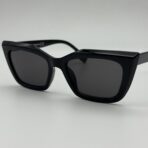 butterfly in USA – Image 4