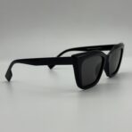 butterfly in USA – Image 3