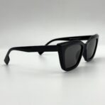 butterfly in USA – Image 3