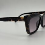 butterfly in India – Image 3