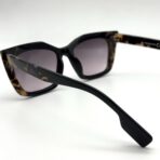 butterfly in India – Image 5