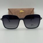 Danien C2017-C2 – Image 2